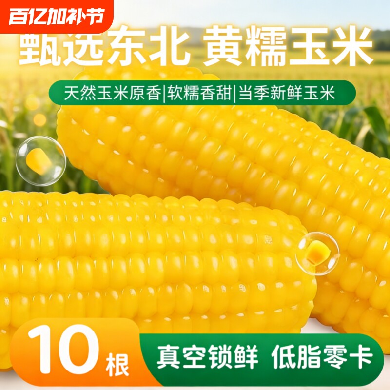 东北拉丝粘糯玉米甜玉米非转基因黄糯玉米软嫩香甜饱腹代餐真空装