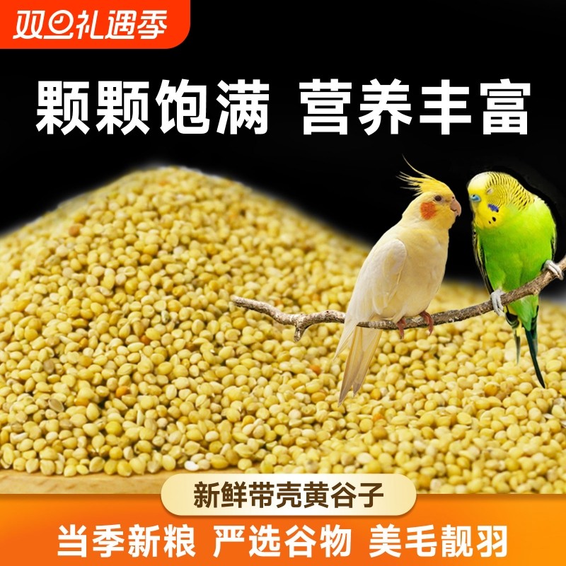 鹦鹉饲料鸟粮新黄谷子带壳小米虎皮鹦鹉饲料玄凤牡丹专用食物粮食