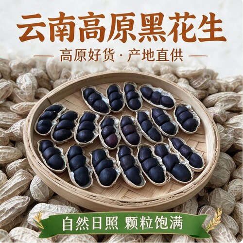 云南黑花生带壳富硒晒干特产2026年黑皮花生米七彩健康大粒新货