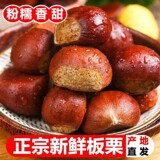新下树5斤丹东板栗 券后13.3元包邮