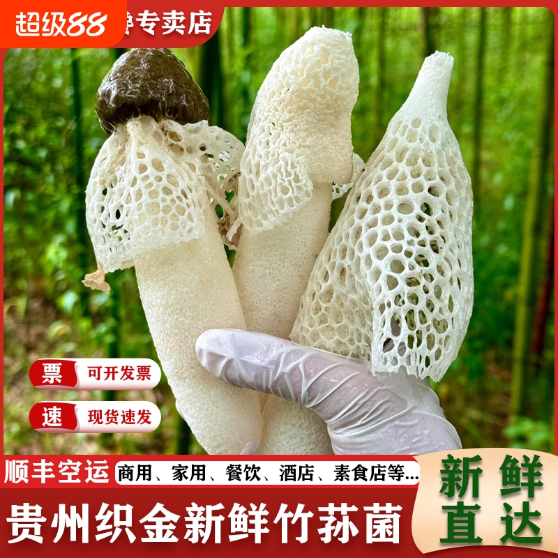 正宗贵州织金红拖竹荪菌新鲜蘑菇