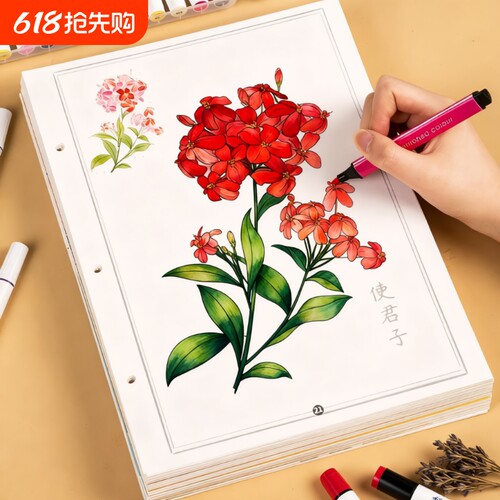 本草纲目白描线稿中草药材简笔画儿童涂色素材画画临摹本绘画彩铅