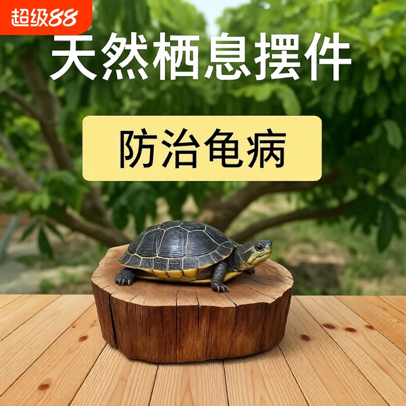 龙眼木乌龟爬台|超6000次加购图片