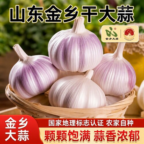 新鲜紫皮蒜5斤包|超8000次加购