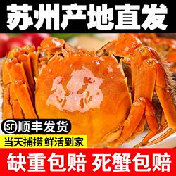 苏州母蟹大闸蟹鲜活螃蟹公3.5全母2.5两8只礼盒装顺丰水产新鲜