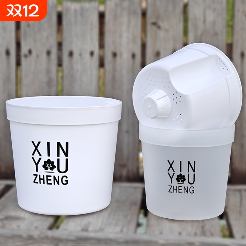 绿萝半透明储水盆|超3000次加购