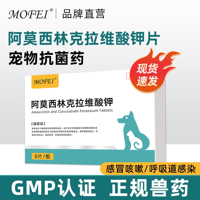 阿莫西林克拉维酸钾片猫咪狗狗感冒咳嗽抗感染抗菌药宠物用抗生素