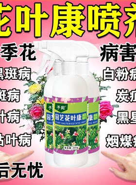 花叶康喷剂月季花病虫害常用药植物花卉叶斑黑斑白粉叶康灵喷雾剂