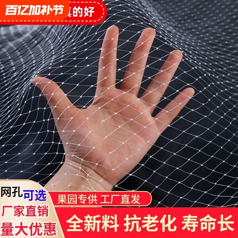 防鸟网果园果树防鸟罩阳台葡萄用的天网防护神器小鸟鱼塘种植养殖