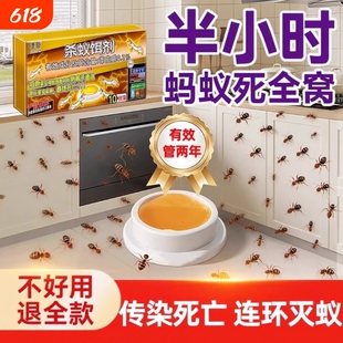 蚂蚁药全窝非无毒端灭蚁饵专用杀虫剂呋虫胺强效蟑螂厨房强力杀灭