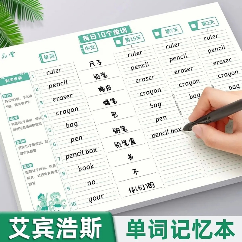 小学生英语单词默写记忆听写本
