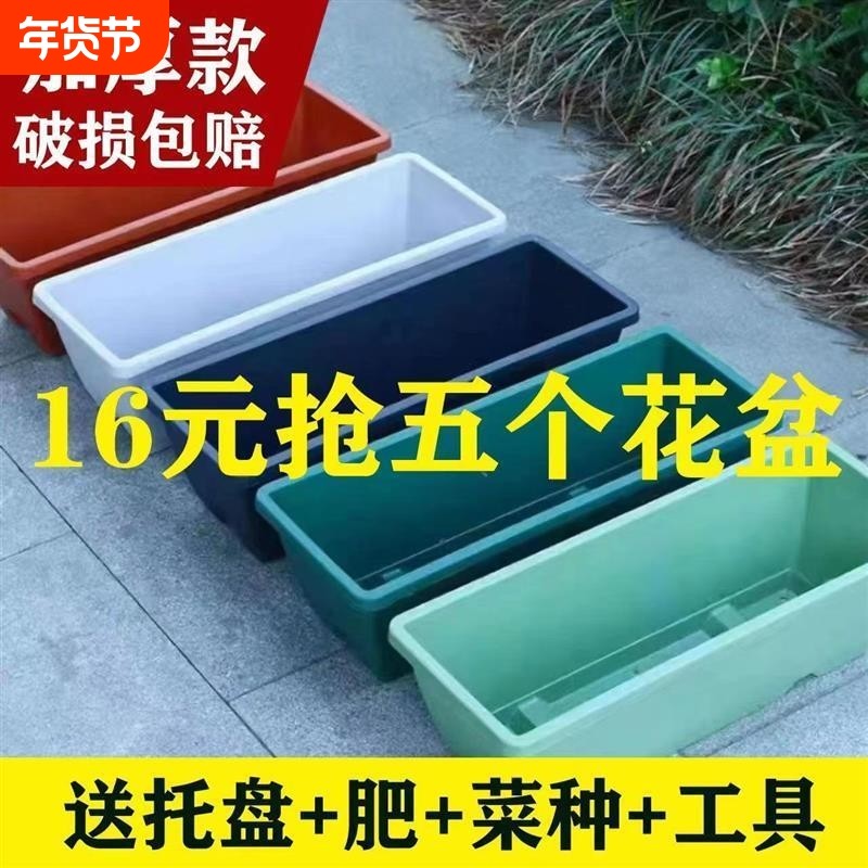 长方形盆花盆阳台种菜专用盆霍伦草莓蔬菜种植箱塑料特价清仓室外,鲜花速递/花卉仿真/绿植园艺,花盆,淘宝优惠券,粉丝福利购,淘宝优惠卷
