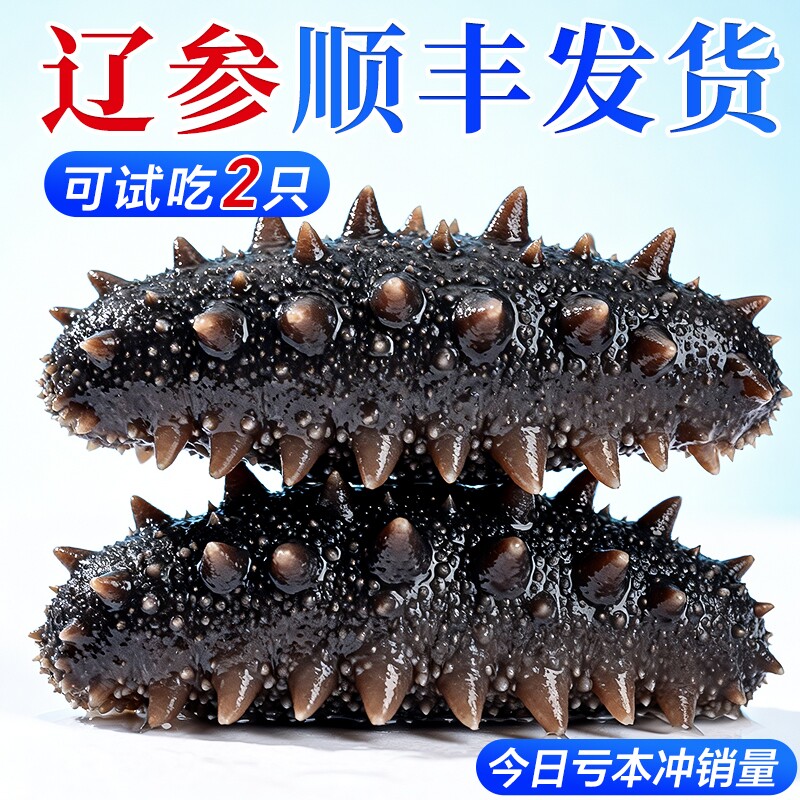 鲜活海参解冻即食独立包装图片