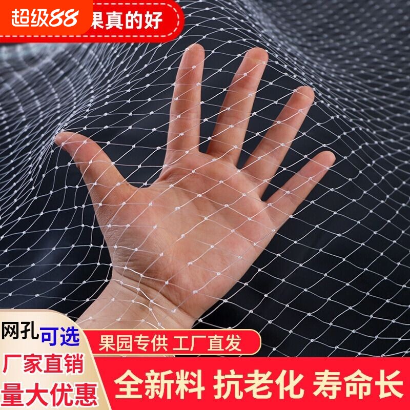 防鸟网果园果树防鸟罩阳台葡萄用的天网水果防护神器小鸟抗老化
