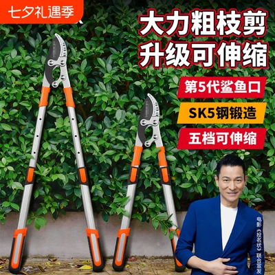 德国果树修枝强力粗枝剪省力修剪