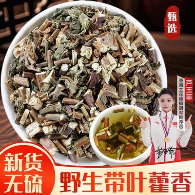 藿香中药材正品野生广藿香藿香叶干货新货无硫藿香佩兰香薷泡茶