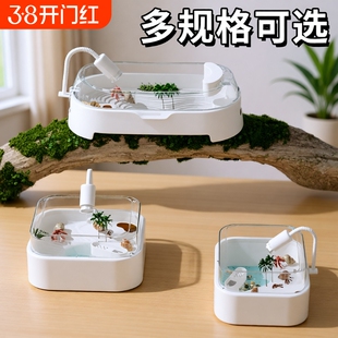 寄居蟹小型生态造景饲养缸养乌龟专用饲养箱排水过滤带晒台防逃逸