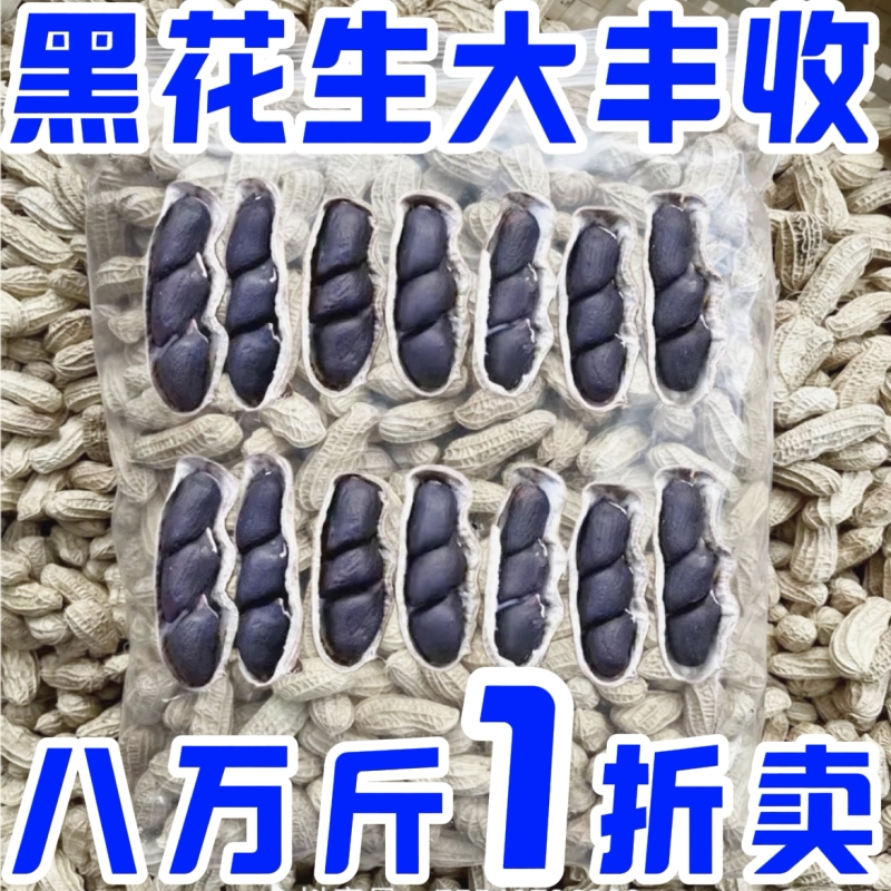 富硒黑花生正品云南黑花生带壳
