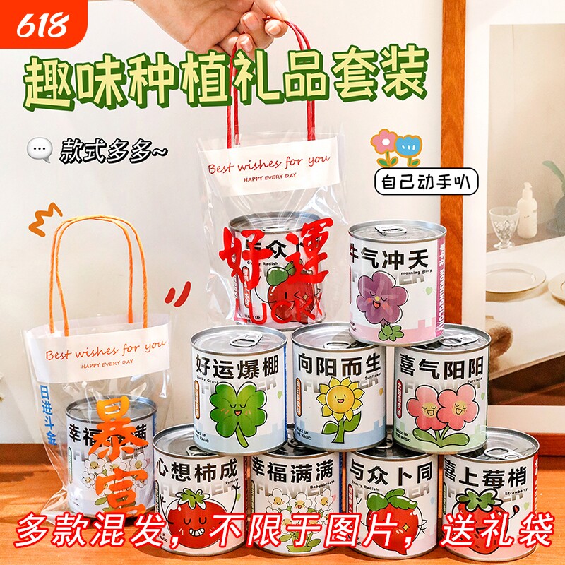 植物盆栽生日创意礼品小学生植物儿童伴手礼幼儿园奖品实用小礼品