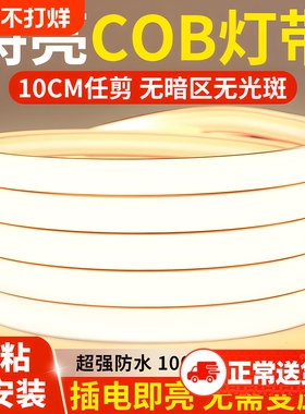 鼎雁led灯带220v防水超亮自粘灯槽客厅吊顶氛围COB户外软灯条灯具