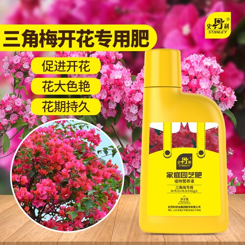 史丹利三角梅开花专用肥