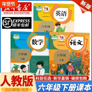 新华书店正版2025新版小学六年级下册全套课本语文书数学英语人教版教材6年级下学期学校指定教科书六下语数英人民教育出版社起点