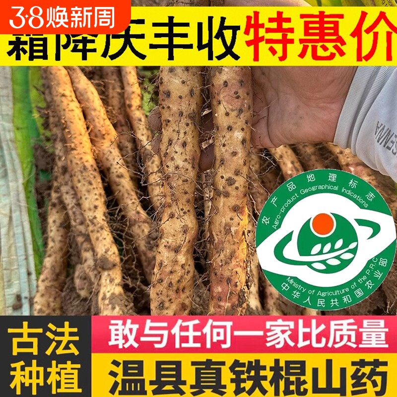 温县垆土铁棍山药新鲜蔬菜铁杆淮山药正宗河南焦作怀山药粉干5斤