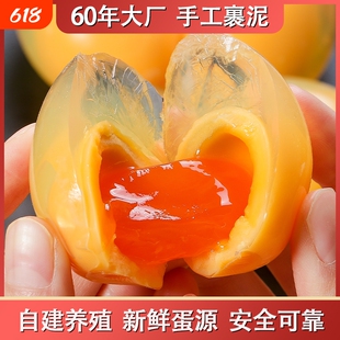 四川正宗松花皮蛋变蛋鸭蛋皮蛋黄心黄金溏心灰包蛋特产10枚糖心