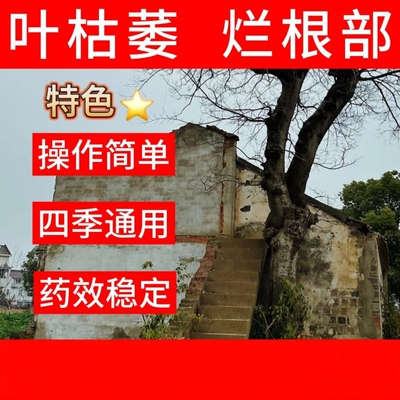 四季通用环嗪哃烂根除树药剂