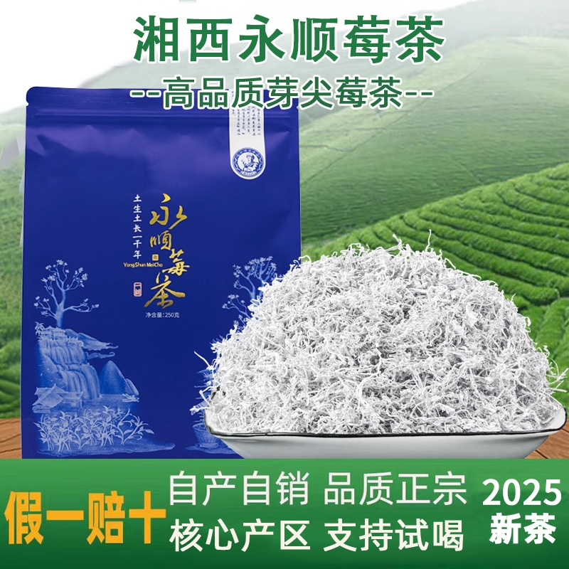 莓茶新茶正宗张家界野生特级芽尖霉茶龙须藤茶湖南永顺养生茶2025