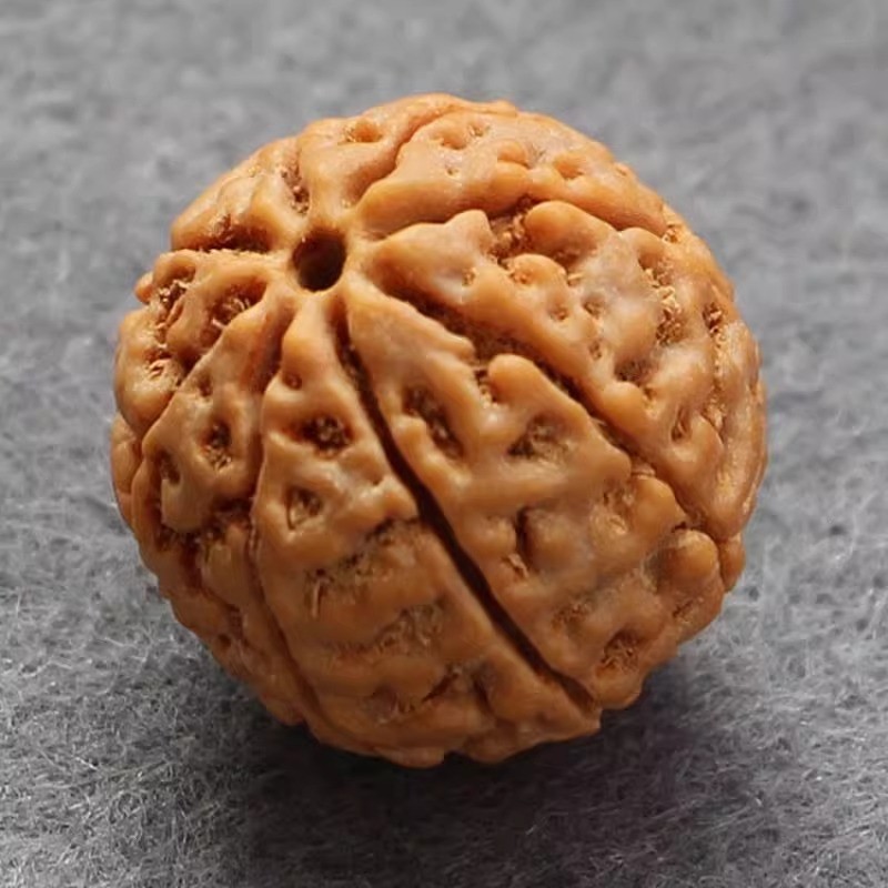 满肉金刚菩提手串原籽大金刚7七8八9九瓣佛珠念珠精品菩提子