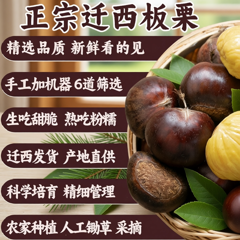 栗仟帆迁西生鲜板栗燕山河北油栗