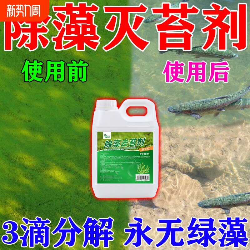 鱼池除藻去苔剂锦鲤缸塘青苔清除剂蓝藻去绿水一次净消毒杀菌药M