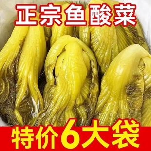 四川鱼泡菜6袋2400g泡青菜做酸菜鱼 泡鱼酸菜泡腌菜 专用酸菜袋装