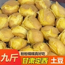 正宗甘肃定西土豆沙面黄心马铃薯蔬菜洋芋旱沙地新鲜现挖9斤开花