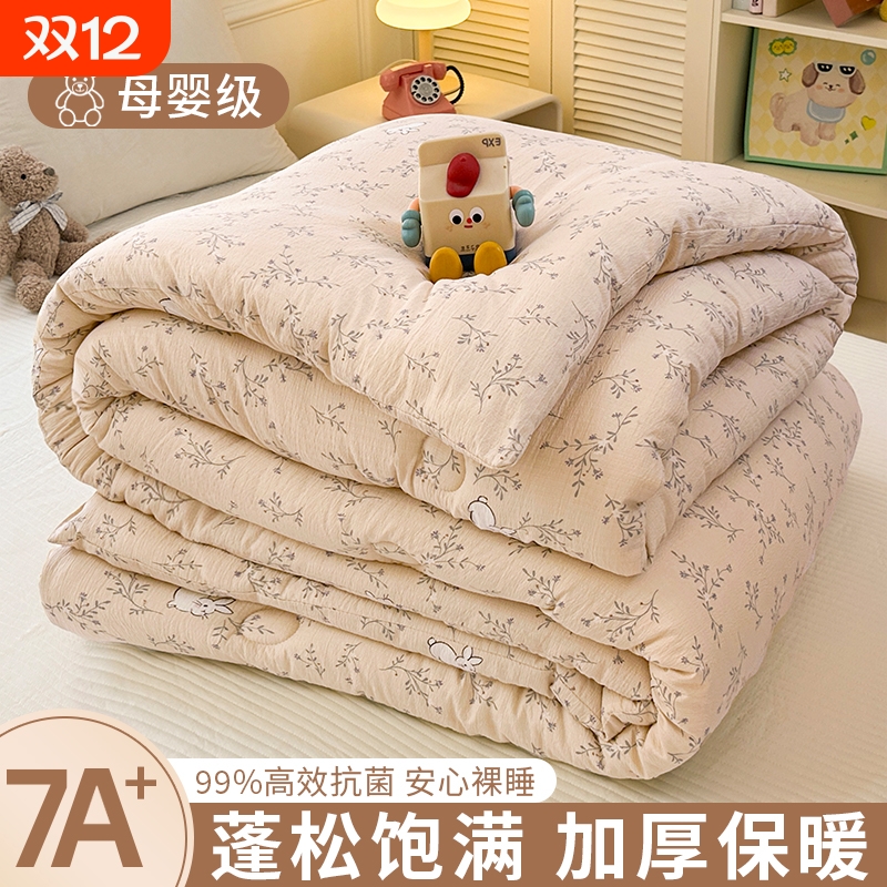 双层纱加厚保暖冬被四季通用