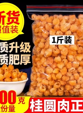 桂圆肉干桂圆干无核500g泡水特级肉干龙眼灯笼新高州散装新货桂圆