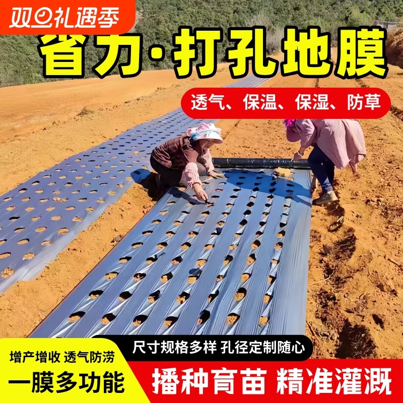 农用种植打孔地膜黑膜防草菜地玉米开孔带孔薄膜银黑地膜免打孔膜
