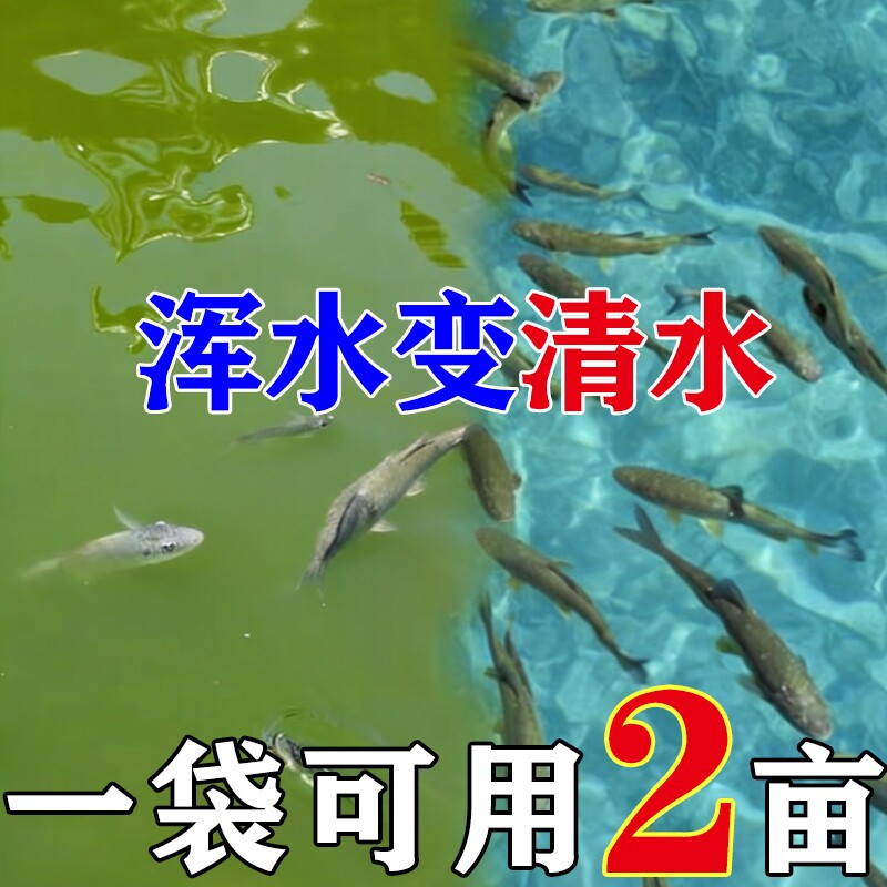 鱼塘鱼池水立水净池塘水质净化去臭净水王不伤鱼虾蟹养殖专用净爽