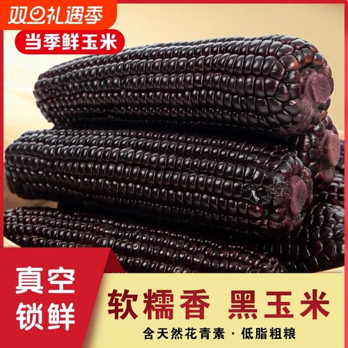 东北黑糯玉米真空包装新鲜甜糯玉米棒子开袋加热即食黏苞米软糯甜