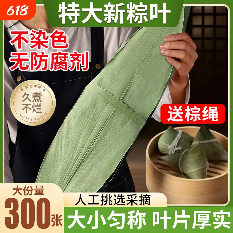 新鲜干粽子叶大号包粽子专用芦苇粽叶端午节商用批发送绳子