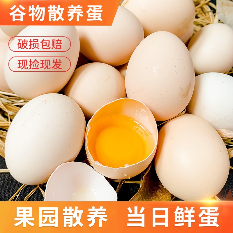 农家散养土鸡蛋鲜鸡蛋谷物鸡蛋农家散养柴鸡蛋早餐蛋营养50g/枚