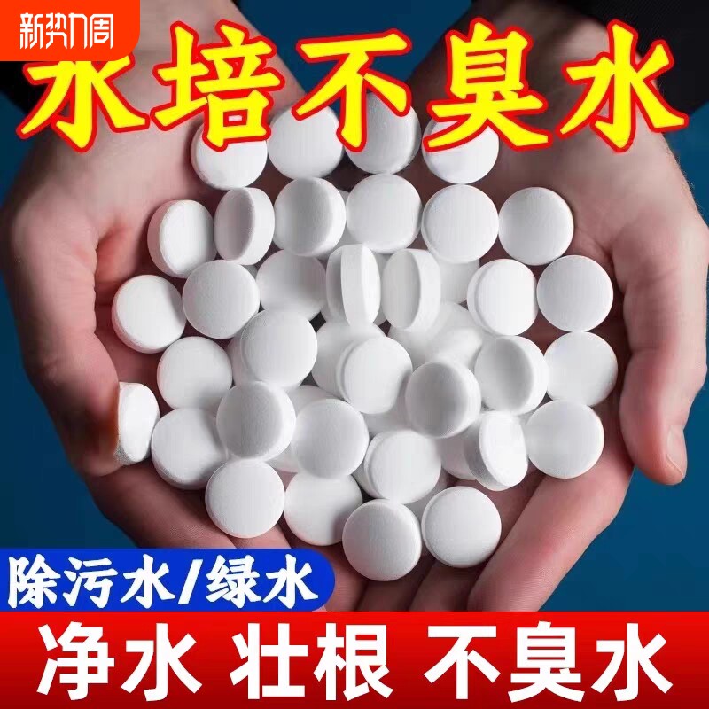 水培植物净水片除臭杀菌消毒富贵竹碗睡莲专用净化水质鲜花保鲜片