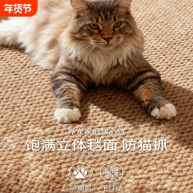 仿剑麻中古风地毯客厅2026新款防猫抓可机洗亚麻编织宠物养猫地毯
