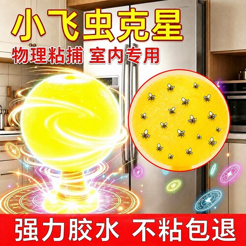 果蝇小飞虫诱捕器灭杀神器室内去除飞虫克星厨房蠓虫粘虫球诱苍蝇