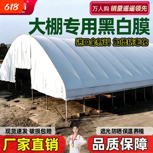 大棚专用黑白膜养殖加厚进口防晒鱼塘防渗膜隔热反光膜塑料膜防水