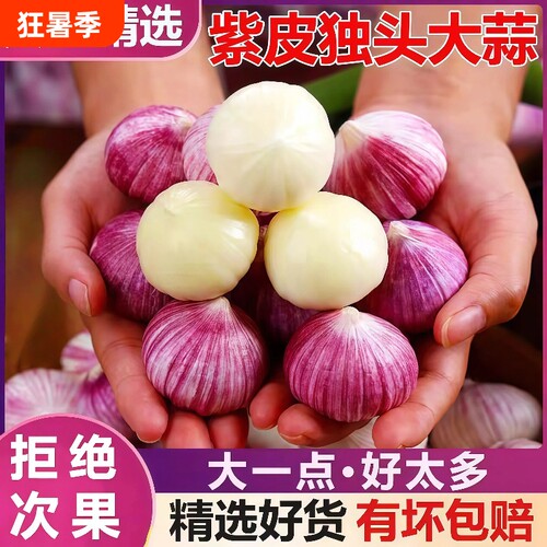 紫皮独头蒜1斤新鲜应季2斤大蒜现挖3斤现发农家优质5斤特大果蔬菜