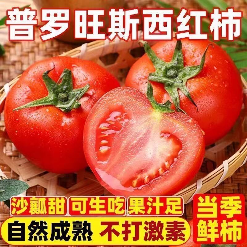 当季生吃正宗普罗旺斯水果西红柿沙瓤番茄儿童老人蔬菜新鲜自然熟