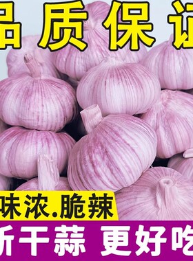 2026年新干蒜新鲜大蒜头超大果干蒜大蒜头当季新鲜干蒜带泥发货