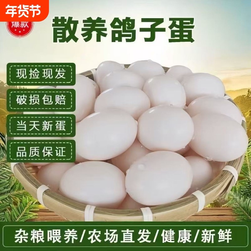 新鲜鸽子蛋草鸽蛋初生蛋正宗农家五谷散养孕妇宝宝营养30枚辅食蛋